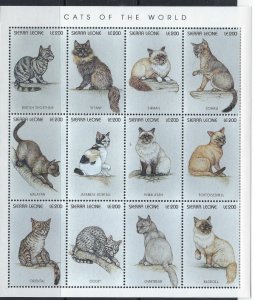 Sierra Leone 1893 MNH 1996 Cats sheet of 12 (ak2764)