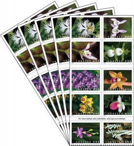 Wild Orchids Forever stamps 5 Books total 100 stamps