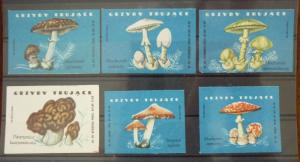 Match Box Labels! flora flower flowers nature mushrooms czechoslovakia GJ30