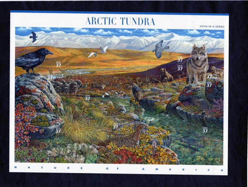 3802 Arctic Tundra, M-HM sheet/10 w/HM