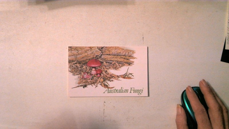 AUSTRALIA PRESENTATION PACK MNH: FUNGI