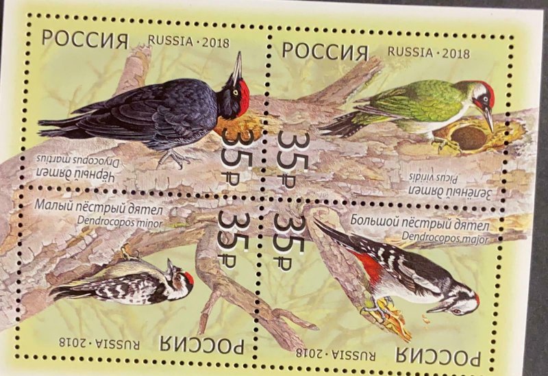 A) 2018, RUSSIA, CARPENTER BIRDS, REAL WHISTLE, PEAK PICAPINOS, BLACK WHISTLE, M 