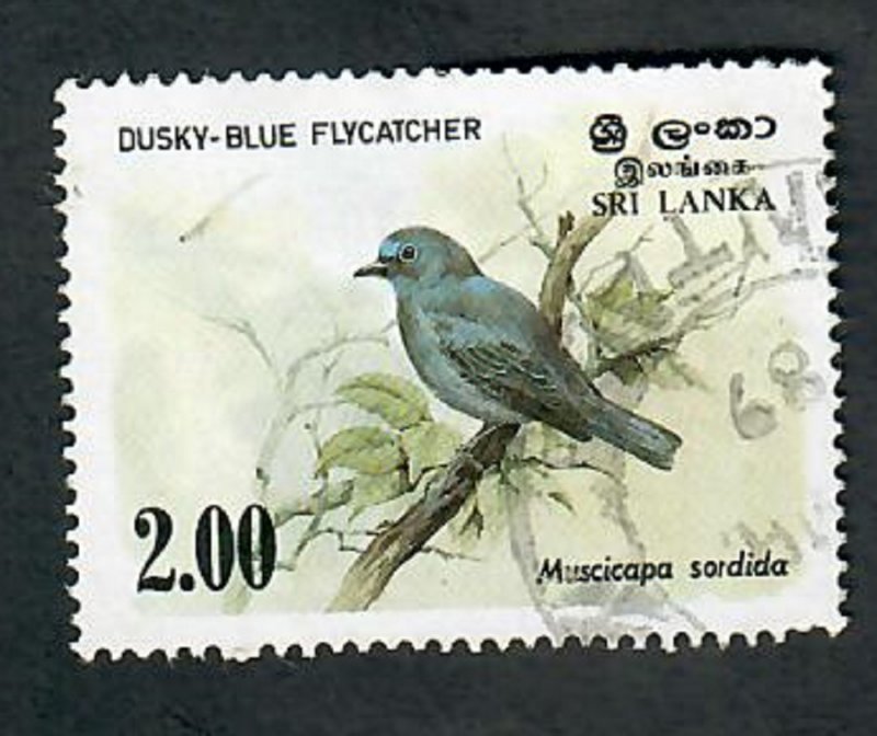 Sri Lanka #693 used single