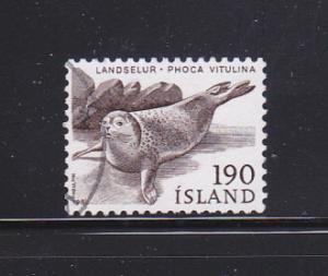 Iceland 536 U Animals, Seal