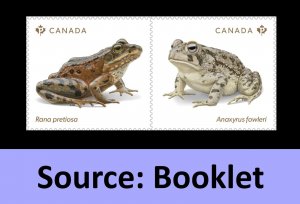 Canada 3421-3422 Endangered Frogs P pair (from booklet) MNH 2024