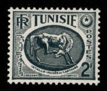 Tunisia #216 MLH