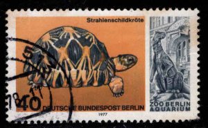 German Scott 9N413 Used Berlin Zoo animal