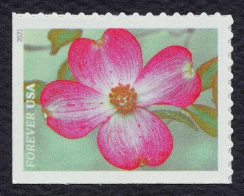 #5558-5567 Garden Beauty, Singles, Mint **ANY 5=FREE SHIPPING**