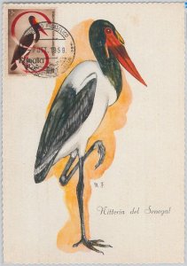 52628 - SOMALIA - MAXIMUM CARD - ANIMALS Birds CRANE 1959-