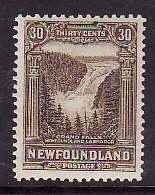 Newfoundland-Sc#182- id7-unused small hinge remnant 30c Grand Falls-1931-