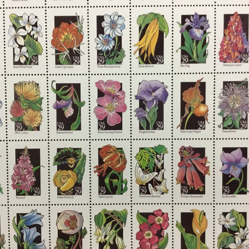 2647-2696  Wildflowers of America  29 cent   MNH Sheet of 50  1992 $14.50 fv