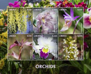 Liberia Flower Stamps 2020 MNH Orchids Dendrobium Orchid Flora Nature 6v M/S