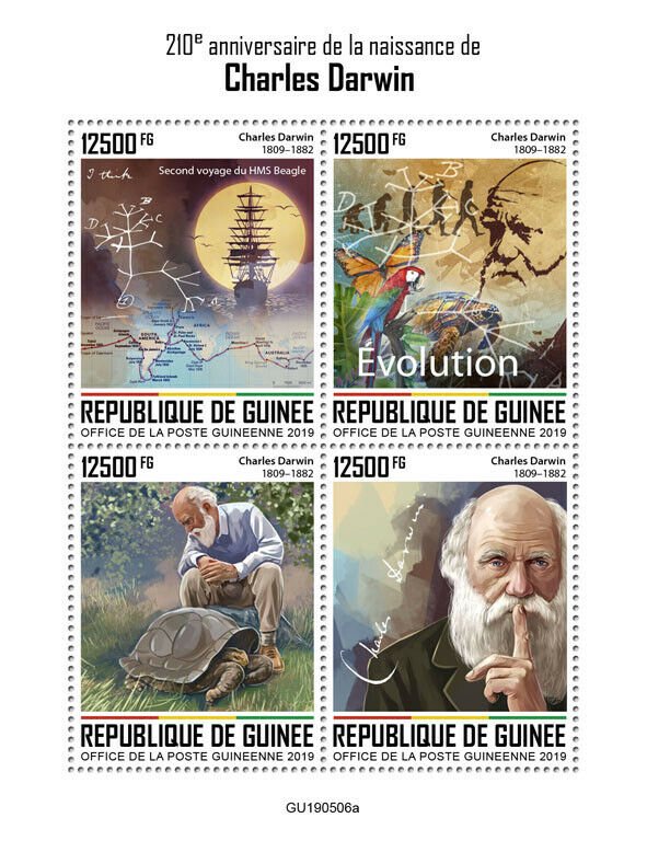 Guinea Charles Darwin Stamps 2019 MNH Famous People Science Birds Turtles 4v M/S