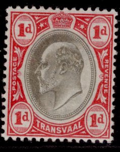 SOUTH AFRICA - Transvaal EDVII SG245, 1d black & carmine, LH MINT.