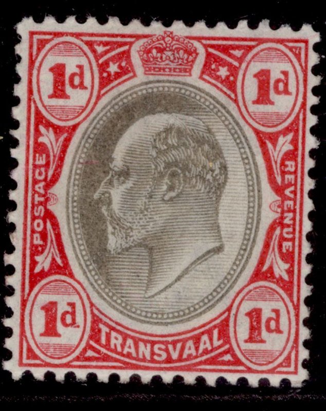 SOUTH AFRICA - Transvaal EDVII SG245, 1d black & carmine, LH MINT.