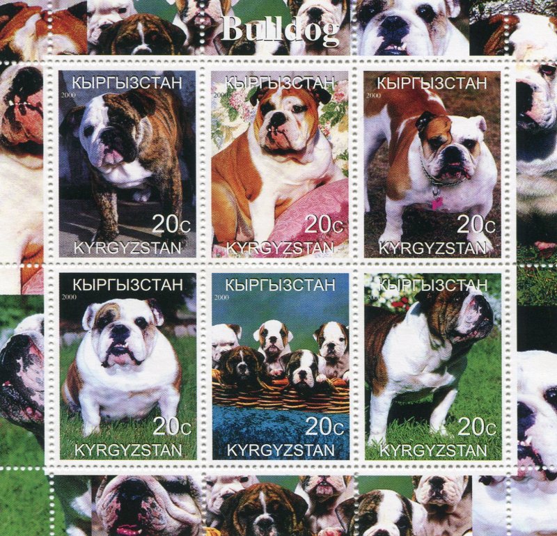 Kyrgyzstan 2000 BULLDOG DOGS Sheet Perforated Mint (NH)