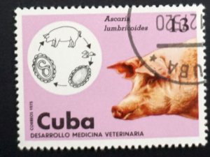 Cuba Sc# 2020 VETERINARY MEDICINE farm animals  13c pig hog  1975  used cto