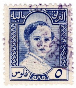 (I.B) Iraq Revenue : Duty Stamp 5f (King Faisal II)