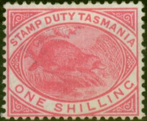 Tasmania 1880 1s Rose-Pink SGF29 V.F Very Lightly Mtd Mint