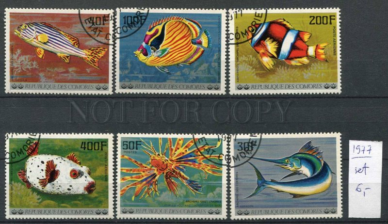 265126 Comoros 1977 year used stamps set FISHES