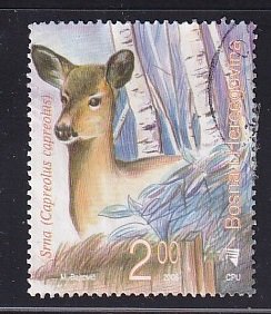 Bosnia and Herzegovina ( Bosniak )  #557  used  2006  wild animals 2m  deer