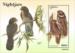 Liberia - 2022 Large Frogmouth Nightjar - Stamp Souvenir Sheet - LIB220316b2