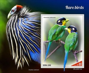 2022 10-SIERRA LEONE - RARE BIRDS II         1V  complet set    MNH ** T