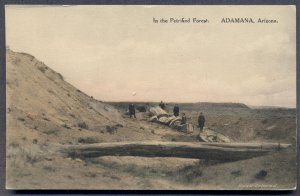 ARIZONA: 1919 Adamana Cancel on Postcard; DPO - Petrified Forest