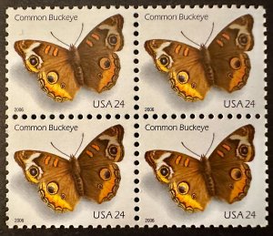 US #4000 Common Buckeye Block of 4 24c 2006 Mint NH