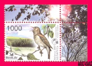 BELARUS 2007 Nature Fauna Bird of Year Nightingale 1v Sc617 Mi662 MNH