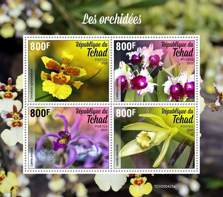 CHAD - 2020 - Orchids - Perf 4v Sheet - Mint Never Hinged