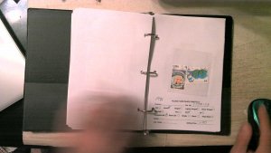 CUBA COLLECTION IN APPROVAL BOOK MINT/USED