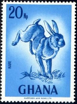 Cape Hare, Ghana stamp SC#296 MNH