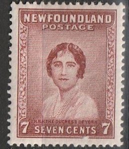 Newfoundland #208 MH VF (1159)