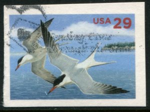 UX621 US 29c Common Tern PC Cut Square, used