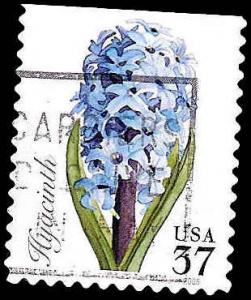 # 3900 USED HYACINTH