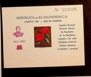 SALVADOR Sc C192b LH SOUVENIR SHEET OF 1960 - OVERPRINT - FLOWERS