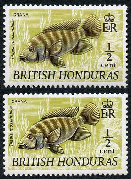 British Honduras SG277a 1969 1/2c Mozambique Mouthbrooder BLACK FANTASTIC SHIFT