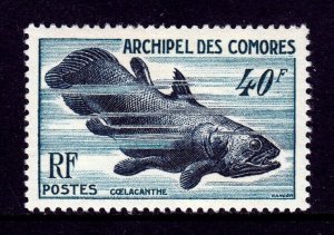 COMORO ISLANDS — SCOTT 42 — 1954 40f COELACANTH — SCV $25