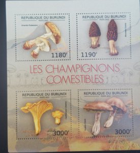 U) 2012, BURUNDI, MUSHROOMS, AMANITA RUBESCENS, MORCELLA CONICA, CANTHARELLUS CI