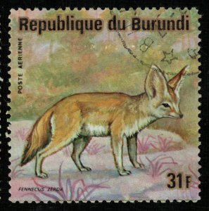 Animals, 31F (T-5041)