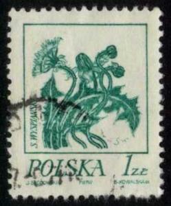 Poland #2018 Dandelion Flower, used (0.25)