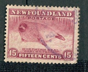 Newfoundland #195 used single - perf 13.5