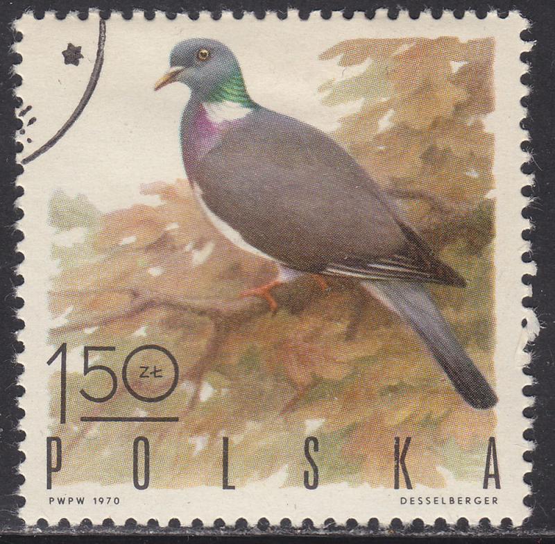 Poland 1724 Wood Pigeon 1970