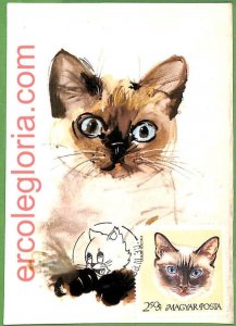 32500 - HUNGARY - MAXIMUM CARD - 1930 - ANIMALS, CATS-