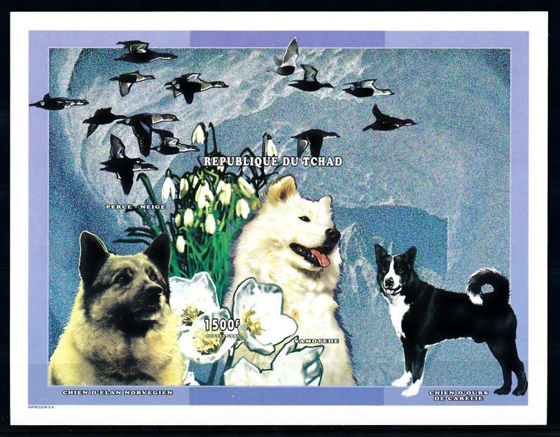 [77210] Tchad Chad 1998 Polar Dogs Husky Imperf. Souvenir Sheets MNH