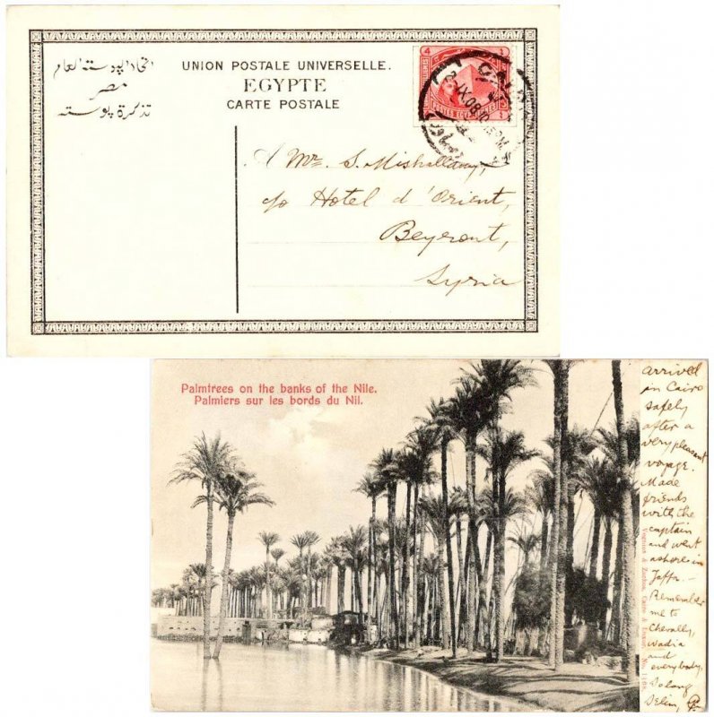 Egypt 4m Pyramid and Sphinx 1908 Cairo PPC (Palms on the Banks of the Nile) t...