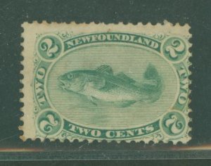 Newfoundland #24 Unused Single