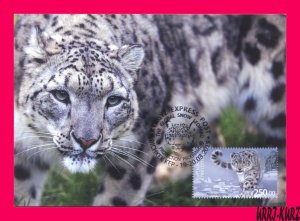 KYRGYZSTAN 2014 Nature Fauna Animals Big Cat Snow Leopard Maxicard Maximum Card