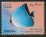 Iran MNH Scott #3055E Fish small size 2000 Rial Free Shipping